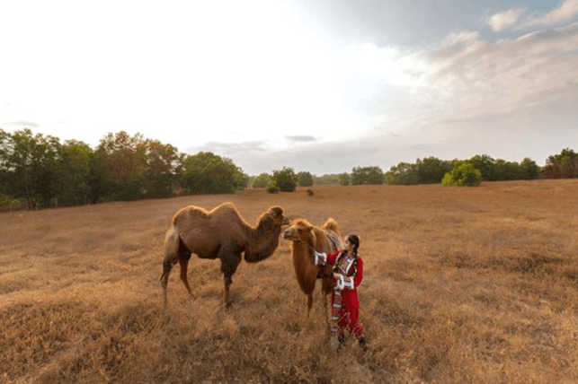 Ảnh slide minh họa 3